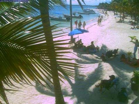 akumal bay webcam|Live Webcam From Akumal Bay 